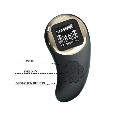 PRETTY LOVE - Nathan, Wireless remote control 9 speed levels 10 vibration functions, ABS Silicone , USB rechargeable Pretty Love
