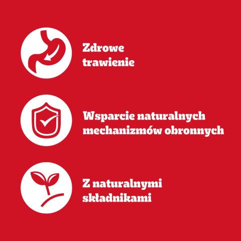 Pedigree Mokra Karma Dla Dorosłych Psów Z Kurczakiem I Warzywami W Galaretce 400g Pedigree