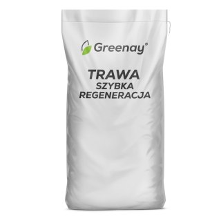 Trawa Greenay Szybka Regeneracja 25kg Greenay