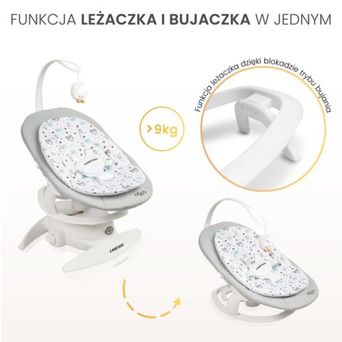 BUJACZEK NOCO GRAPHITE