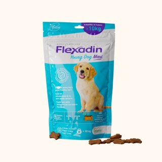 Vetoquinol Flexadin Young Dog Maxi Kąski Dla Psa 60 Sztuk Vetoquinol