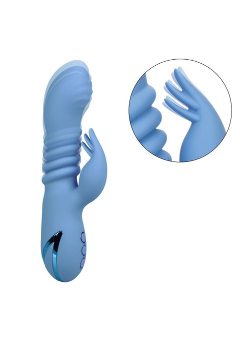 Santa Cruz Coaster Blue CalExotics