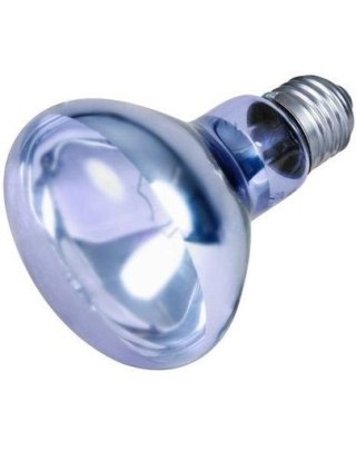 Trixie Neodymowa Żarówka Grzewcza 100W Trixie