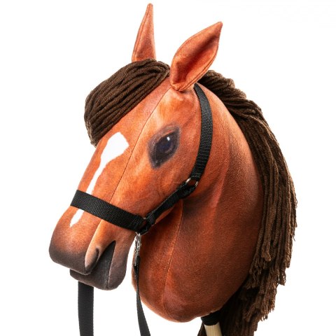 Zestaw Skippi - Hobby Horse Bursztyn i przeszkoda do skakania 135 cm Skippi