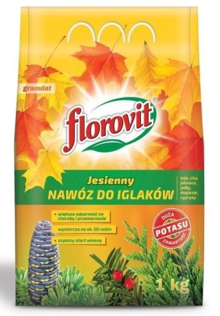 Nawóz Jesienny do Iglaków 3kg Florovit Florovit