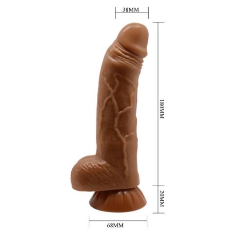 BAILE - Beautiful ANGELO 7,8'' BAILE