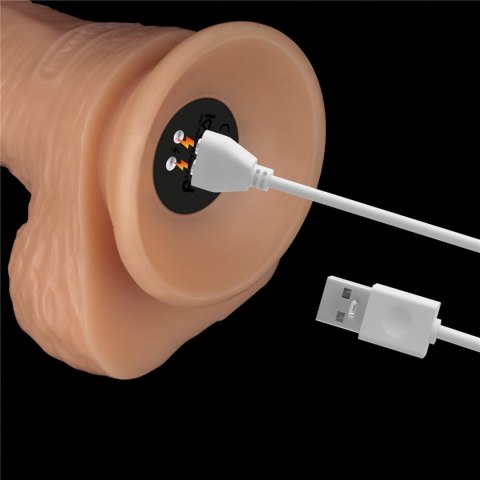Vibrating Enhanced Strap on Set 8.5'' L/XL/2XL Lovetoy