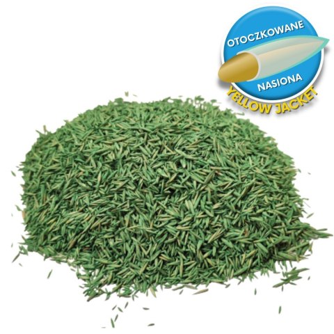 Trawa Na Ekstremalne Warunki Barenbrug Resilient Blue Lawn Otoczkowana 1kg