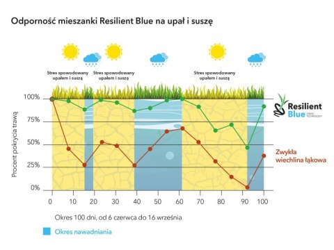 Trawa Na Ekstremalne Warunki Barenbrug Resilient Blue Lawn Otoczkowana 1kg