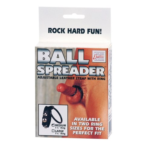 Medium Leather Ball Spreader Black CalExotics