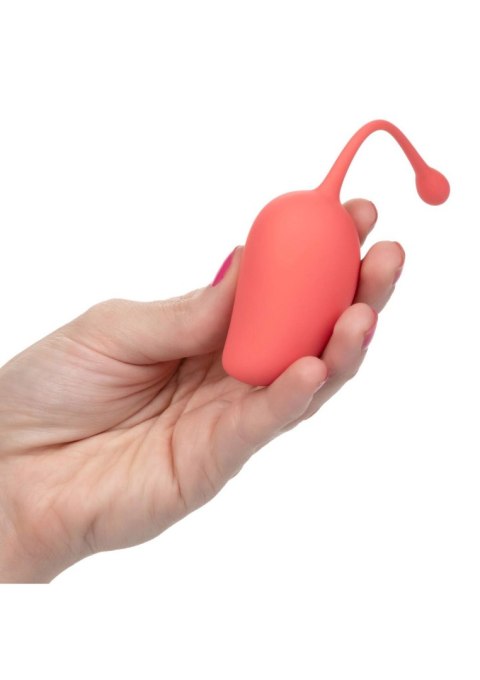 Kegel Training Set Mango Assortment CalExotics