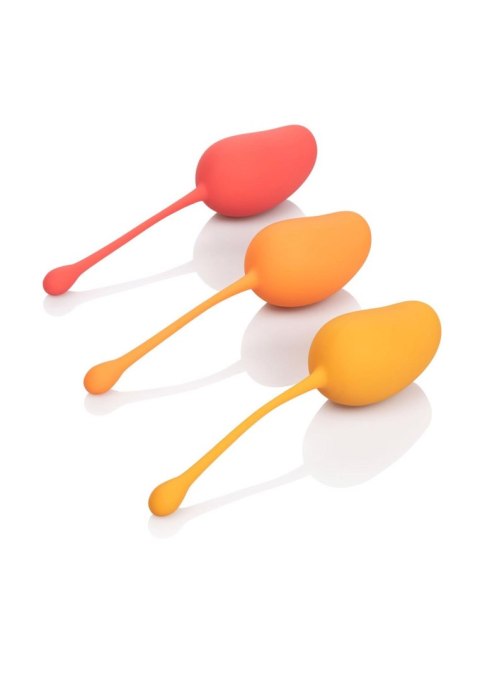 Kegel Training Set Mango Assortment CalExotics