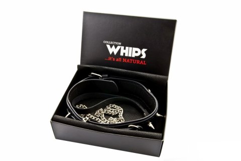 Wiązania-WHIPS obroża męska z ćwiekami i smyczą Whips Collection