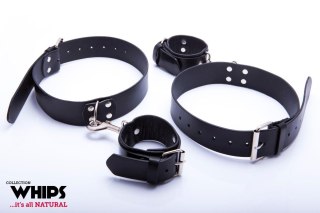 Kajdanki - WHIPS Kajdanki na uda męskie Whips Collection