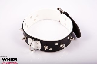 Wiązania - Obroża męska ze smyczą, biała Whips Collection