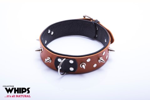 Wiązania-WHIPS obroża męska ze smyczą, koniakowa Whips Collection