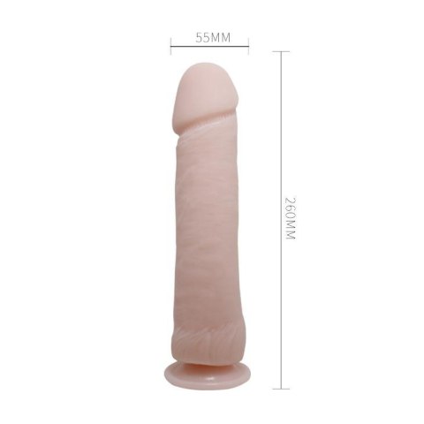 BAILE - The Big Penis BAILE