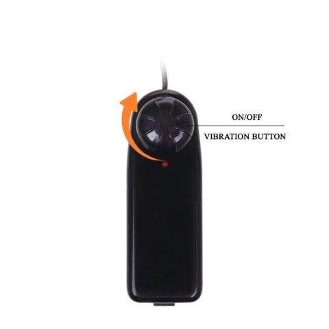 BAILE - The Big Penis, Vibration, Suction base BAILE
