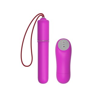 BAILE - MAGIC X20, 20 vibration functions Wireless remote control BAILE