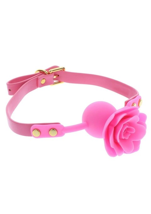 Mouth Gag Pink Taboom