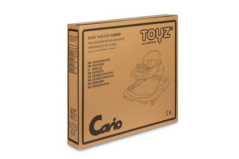 CHODZIK CARIO GRAPHITE