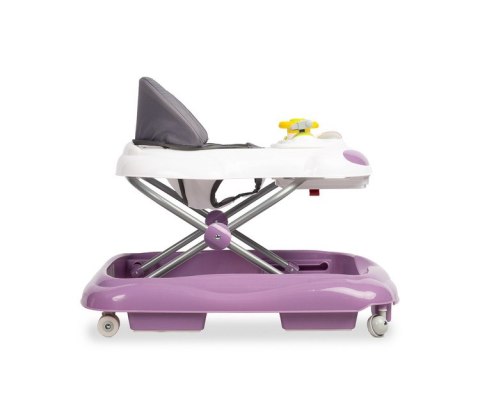 CHODZIK CARIO PURPLE