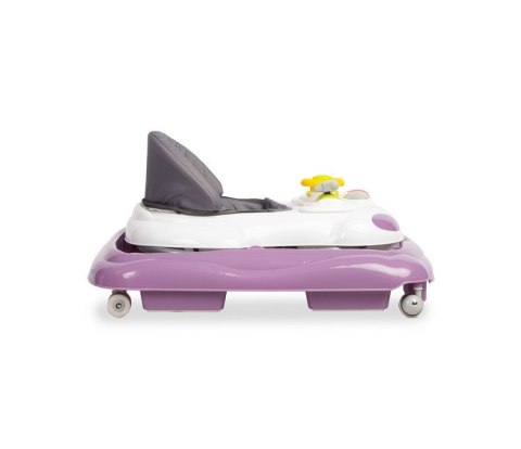 CHODZIK CARIO PURPLE