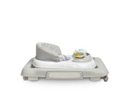 CHODZIK TIMON GREY