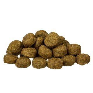 BOSCH Junior Lamb & Rice 15kg Bosch