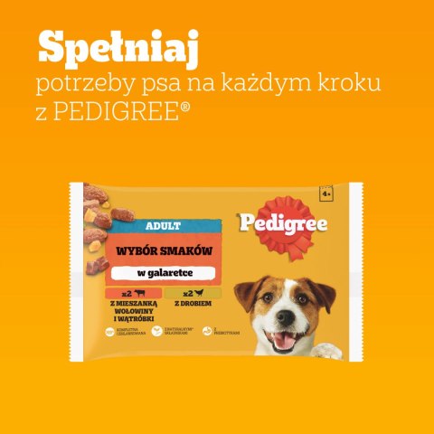 Pedigree Mokra Karma Dla Dorosłych Psów W Galaretce (Z Wołowiną, Z Drobiem) 4x100g Pedigree