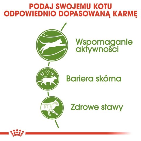ROYAL CANIN Outdoor 400g Royal Canin
