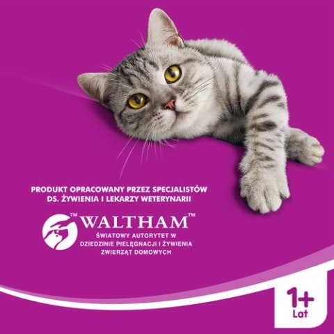 WHISKAS Karma Sucha Dla Kota Po Sterylizacji 1+ Sterile Z Kurczakiem 14kg Whiskas