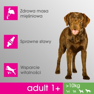 PERFECT FIT Adult 1+ Duże Rasy Z Kurczakiem 825g Perfect Fit