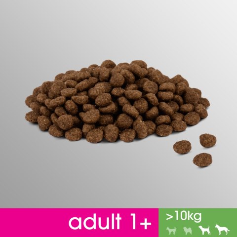 PERFECT FIT Adult 1+ Duże Rasy Z Kurczakiem 825g Perfect Fit