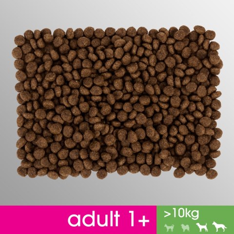 PERFECT FIT Adult 1+ Duże Rasy Z Kurczakiem 825g Perfect Fit