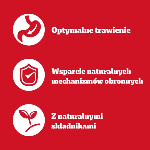 Pedigree Mokra Karma Dla Dorosłych Psów Z Kurczakiem I Warzywami W Sosie 100g Pedigree