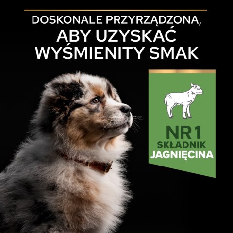 Purina Pro Plan Medium Puppy Sensitive Optidigest Jagnięcina I Ryż 12kg Purina Pro Plan