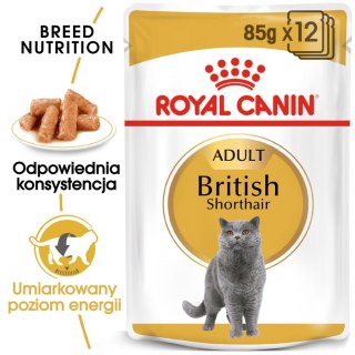 ROYAL CANIN British Shorthair Adult 12x85g Royal Canin