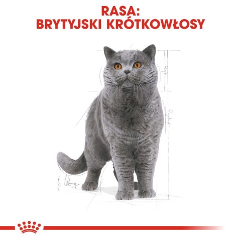 ROYAL CANIN British Shorthair Adult 400g Royal Canin