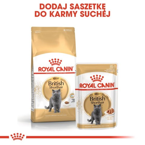 ROYAL CANIN British Shorthair Adult 400g Royal Canin