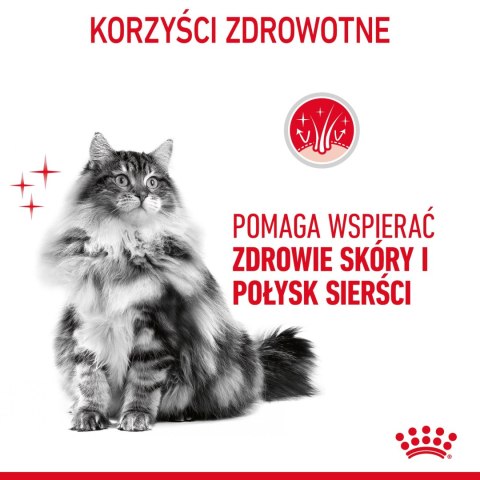ROYAL CANIN Intense Beauty Gravy 12x85g Royal Canin