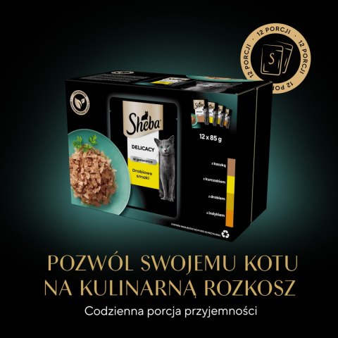 Sheba Saszetka Delicacy In Jelly Smaki Drobiowe 12x85g Sheba