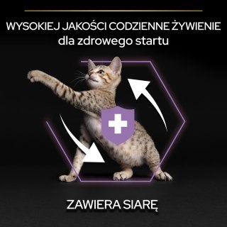 Purina Pro Plan Original Kitten Kurczak Z Ryżem 1,5kg Purina Pro Plan