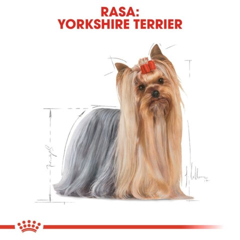 ROYAL CANIN Yorkshire Terrier Adult 3kg Royal Canin