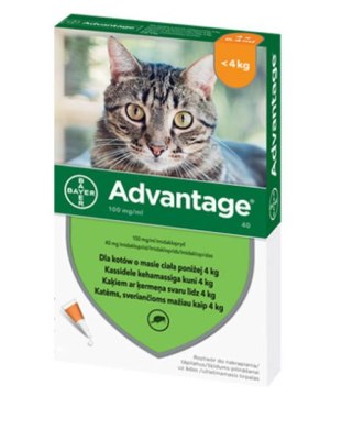 Bayer Advantage Roztwór Do Nakrapiania Dla Kotów 4x0,4ml Bayer