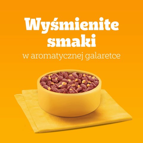 Pedigree Mokra Karma Dla Dorosłych Psów W Galaretce Mix Smaków (Z Wołowiną, Z Kurczakiem, Z Jagnięciną, Z Drobiem) 40x100g Pedigree