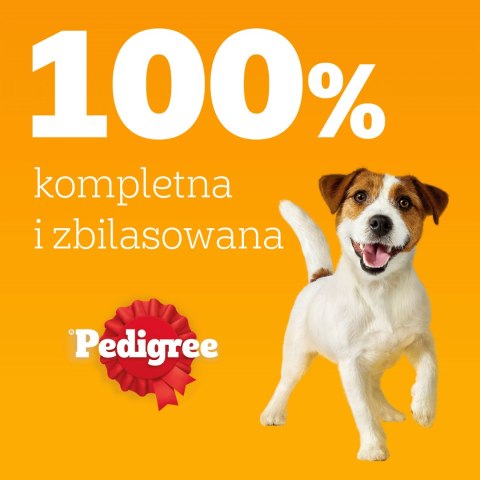 Pedigree Mokra Karma Dla Dorosłych Psów W Galaretce Mix Smaków (Z Wołowiną, Z Kurczakiem, Z Jagnięciną, Z Drobiem) 40x100g Pedigree