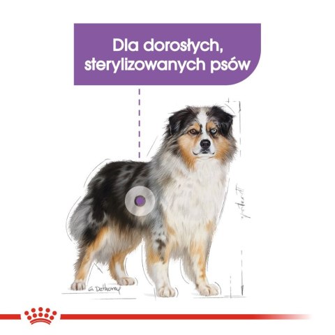 ROYAL CANIN CCN Medium Sterilised 3kg Royal Canin