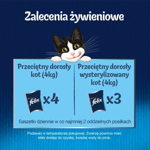 Felix Fantastic Wiejskie Smaki W Galaretce 24x85g Felix