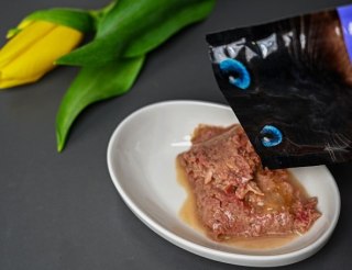 Josera Filet Kurczak Z Łososiem 70g Josera